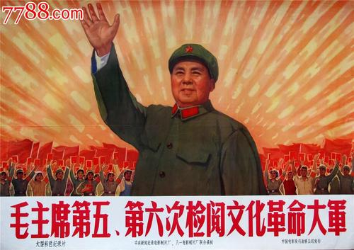 做假冰岛驾照